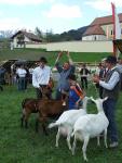 2008-05-10--14-25-16-0-j