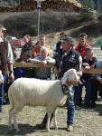 2008-03-29--13-35-53-0-j