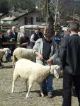 2008-03-29--13-41-02-0-j