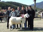 2008-03-29--14-35-26-0-j