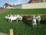 2008-05-10--08-20-44-0-j