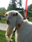 2008-05-10--08-26-21-0-j