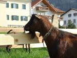 2008-05-10--08-32-36-0-j