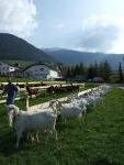 2008-05-10--08-44-51-0-j
